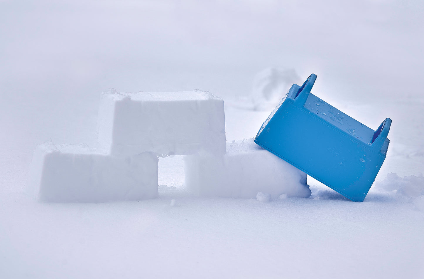 Snow, Sand, and Beach Blue Brick Mold