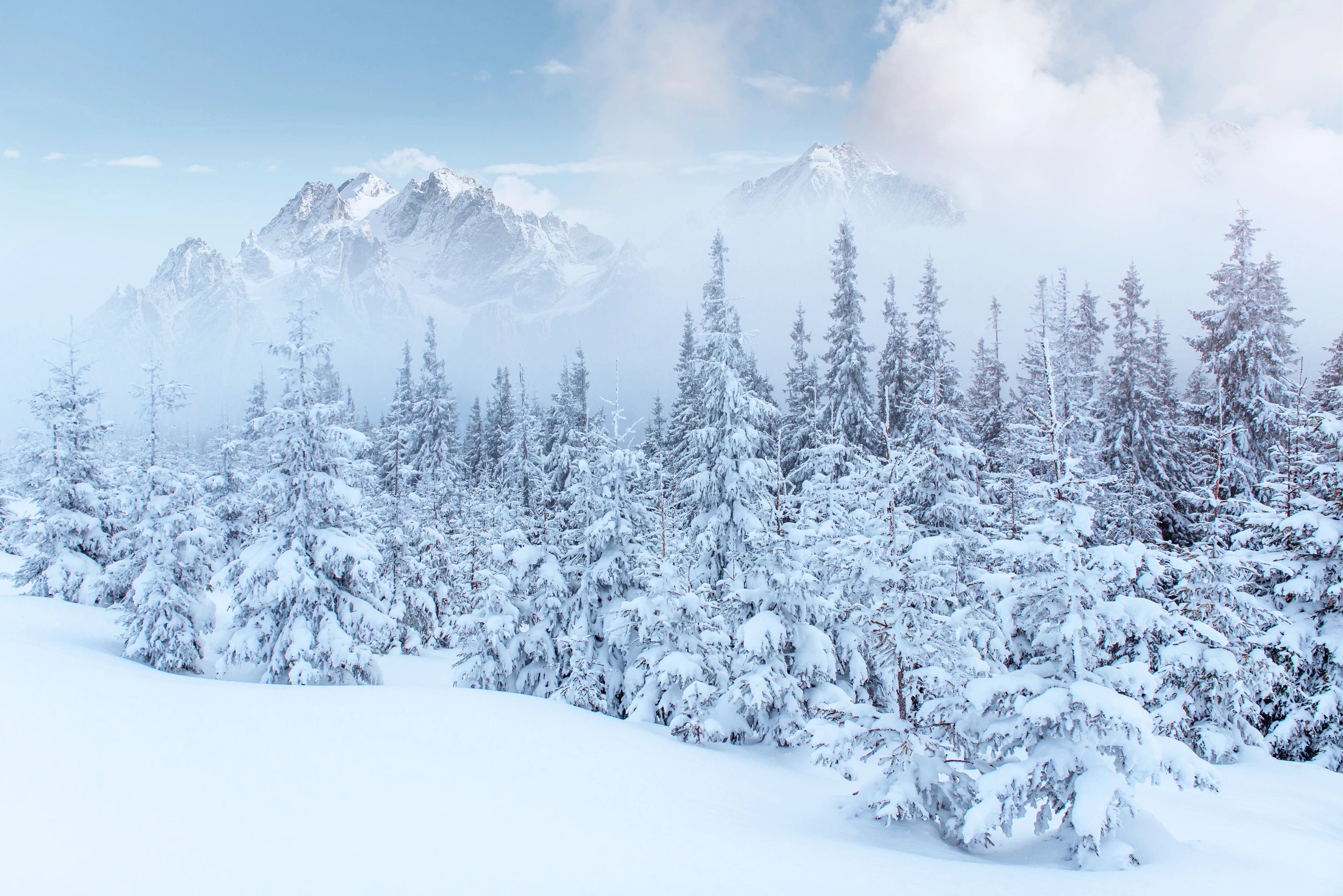 Snow – Superio