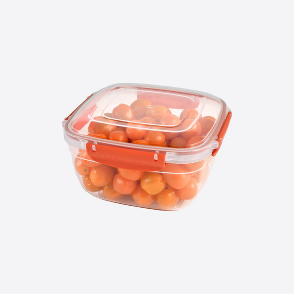 80 oz. Sealed Container
