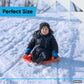 Plastic Snow Sled