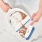 Dust Pan with Brush Set