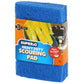 Non- Scratch Scouring Pad (3-Pack)