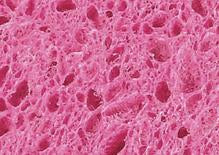 Non-Scratch Cellulose Sponge (1-pack)