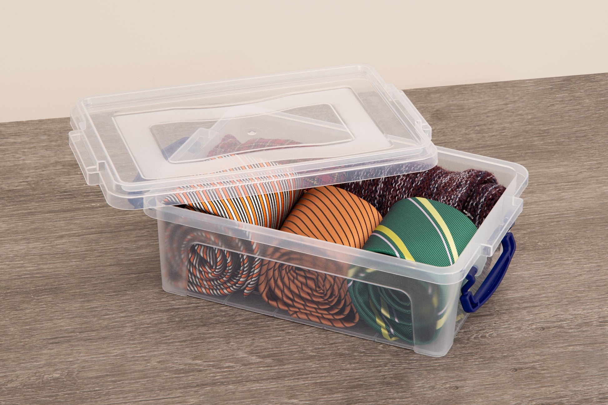  Superio Clear Storage Box with Lid, Plastic Container