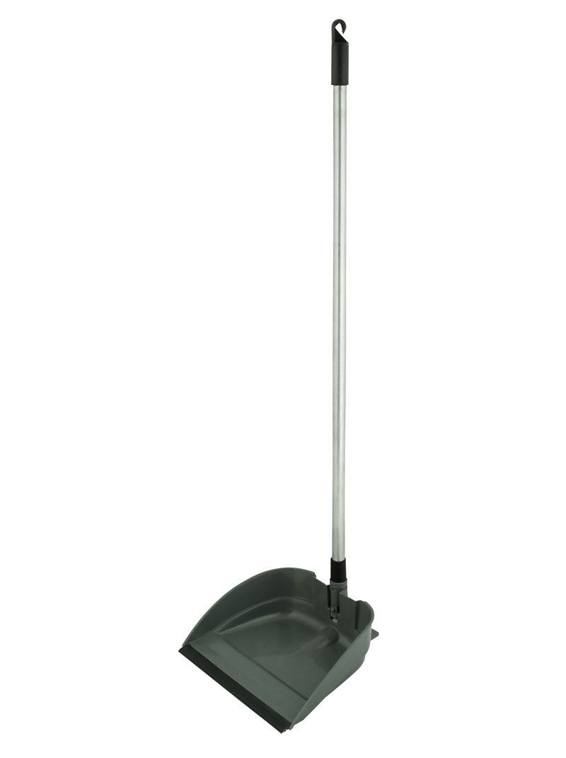 Dust Pan, Long Handle, with Brush