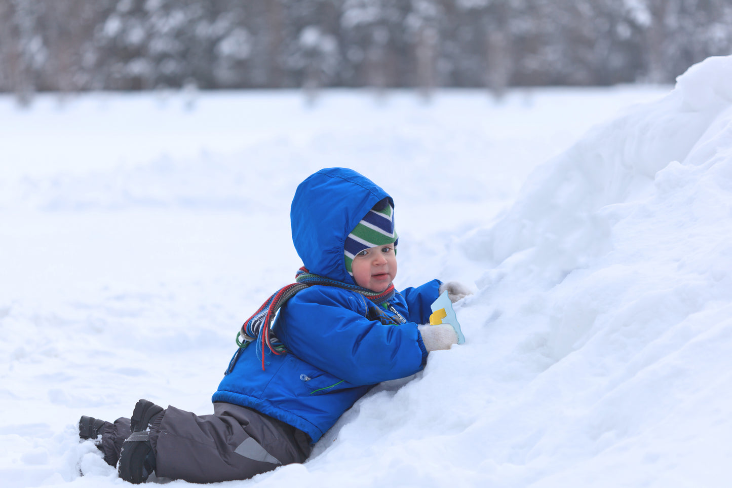 Snow Trowel (Rectangle Shape)